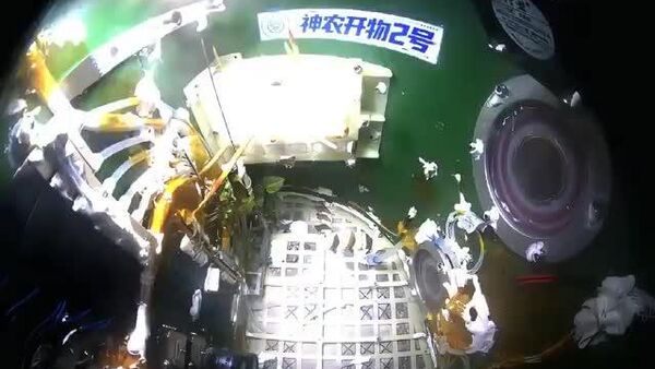 آزمایش بیولوژیکی موفقیت‌آمیز دانشمندان چینی در فضا - اسپوتنیک افغانستان  