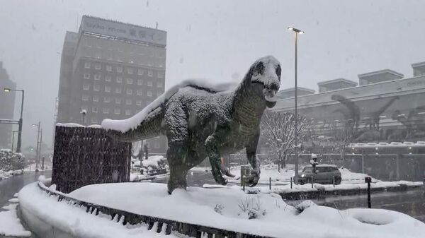 در شهر فوکویی جاپان که این روزها تحت تأثیر بارش‌های سنگین برف قرار گرفته، می‌توان دایناسورها را دید، گویی از دوران عصر یخبندان «زنده شده‌اند» - اسپوتنیک افغانستان  