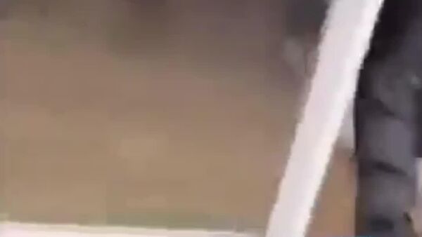 حمله با نارنجک به یک آرایشگاه در شهر گرنوبل فرانسه - اسپوتنیک افغانستان  