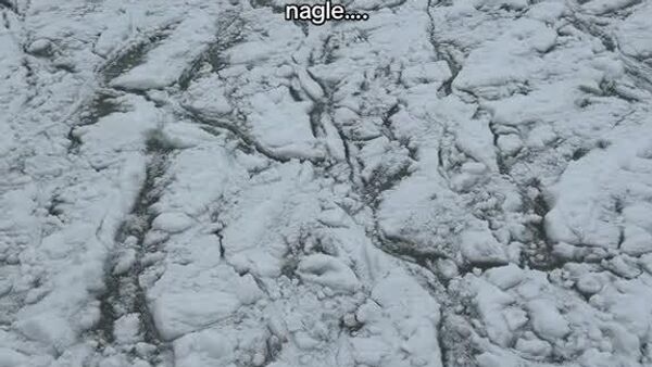 سقوط دو نفر به دریای یخ زده بالتیک - اسپوتنیک افغانستان  