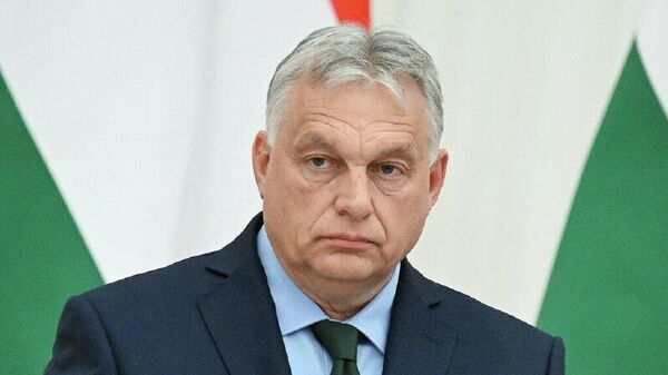 حضور نظامی ناتو در اوکراین «دیوانگی» است - اسپوتنیک افغانستان  