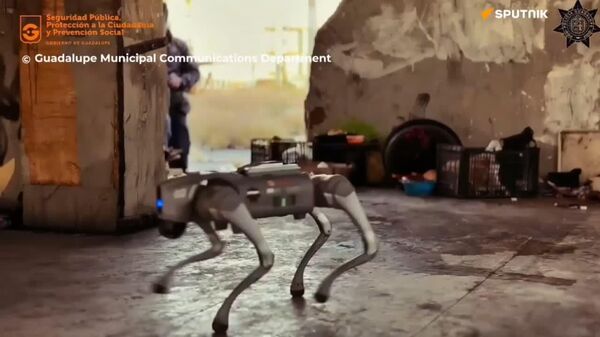 بکارگیری از ربات‌های سگ‌نما برای فراهم سازی امنیت جام جهانی 2026 در مکزیک - اسپوتنیک افغانستان  