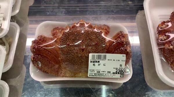 تازگی حیرت‌انگیز غذاهای دریایی در جاپان؛ خرچنگ‌ها می گریزند! - اسپوتنیک افغانستان  