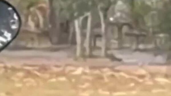 تیراندازی و گروگان‌گیری در مدرسه‌ای در جنوب تایلند - اسپوتنیک افغانستان  