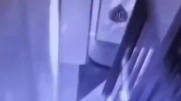 طلا دزدی در ترکیه توسط یک خر سوار - اسپوتنیک افغانستان  