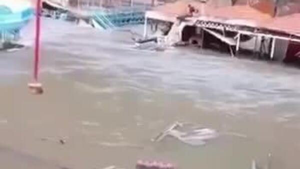 یک سگ از سیل در ترکیه نجات داده شد - اسپوتنیک افغانستان  