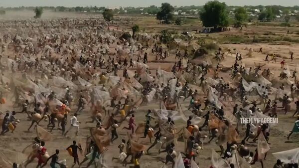 جشنواره ماهیگیری نیجریه به عنوان نمادی از صلح و ثبات ازسر گرفته شد - اسپوتنیک افغانستان  