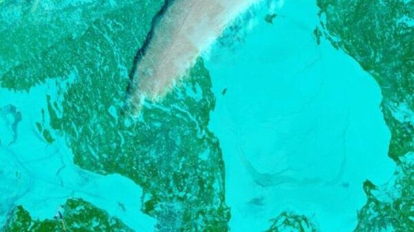 دریاچه لادوگا، بزرگترین دریاچه آب شیرین اروپا، کاملاً پوشیده از یخ شد - اسپوتنیک افغانستان  