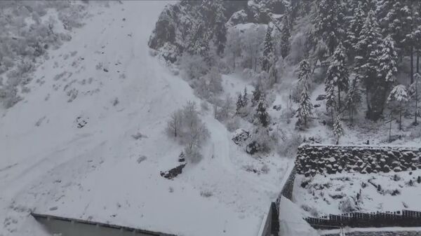 حادثه واژگونی قطار در آلپ‌های سوئیس - اسپوتنیک افغانستان  