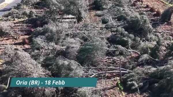 تخریب‌های طوفان در سالنتو، ایتالیا - اسپوتنیک افغانستان  