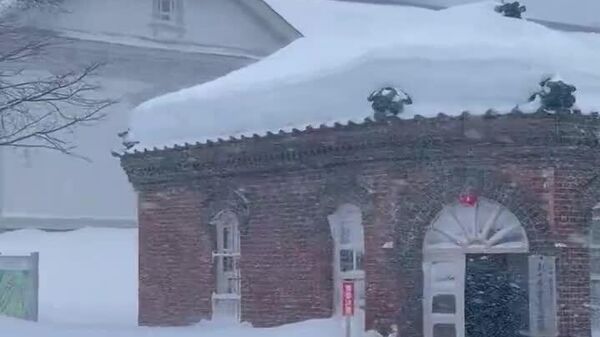 بارش برف سنگین در جاپان - اسپوتنیک افغانستان  