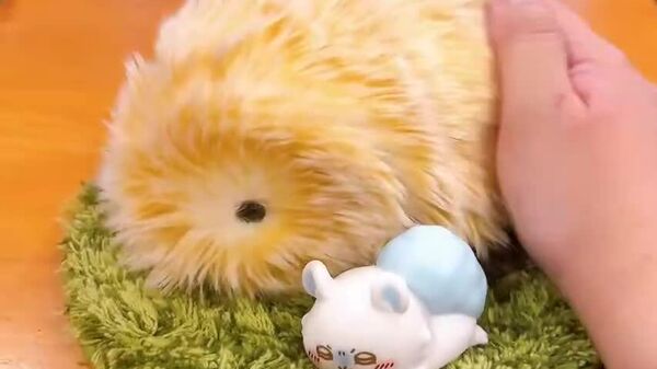 بیمارستان‌های جاپان به بیماران خردسال ربات‌های پشمالو می‌دهند - اسپوتنیک افغانستان  