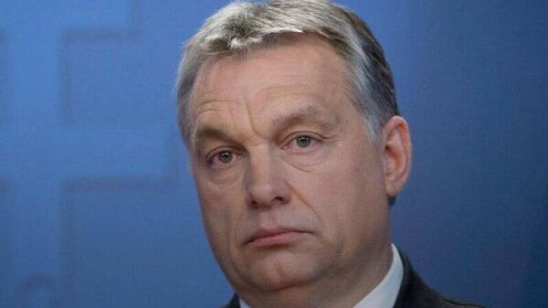 کنایه اوربان به کالاس: ناپلئون و هیتلر هم به دنبال چنین چیزی بودند - اسپوتنیک افغانستان  