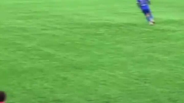 ماساژ قلبی به مرغ دریایی وسط مسابقه فوتبال - اسپوتنیک افغانستان  