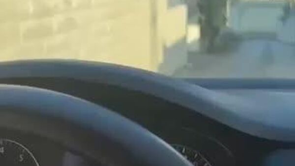 کمین تک‌تیراندازان ارتش اسرائیل برای حمله به کارگران فلسطینی - اسپوتنیک افغانستان  