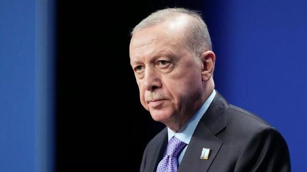 اردوغان حملات آمریکا و اسرائیل به ایران را نقض آشکار قوانین بین‌المللی خواند - اسپوتنیک افغانستان  