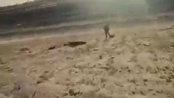 وضعیت تحقیرآمیز خلبان آمریکایی پس از سقوط جنگنده‌اش - اسپوتنیک افغانستان  