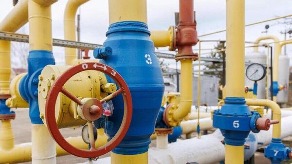 پوتین قطع عرضه گاز روسیه به اروپا را محتمل دانست - اسپوتنیک افغانستان  