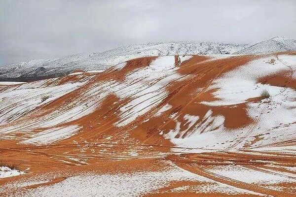 ریگ‌های صحرای بزرگ آفریقا سفید شدند - اسپوتنیک افغانستان  