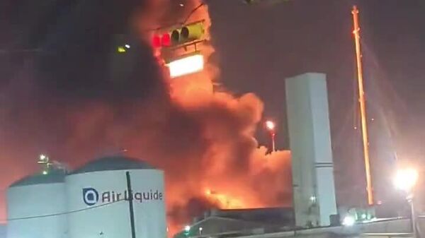 وقوع آتش‌سوزی در کارخانه شیمیایی لیوندل باسل در تگزاس - اسپوتنیک افغانستان  