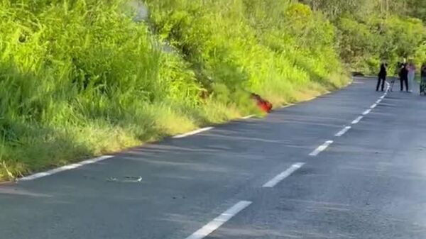 فوران آتشفشان پیتون دو لا فورنِز در جزیره رئونیون - اسپوتنیک افغانستان  