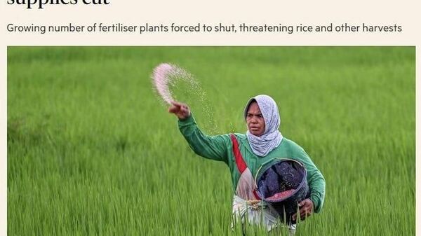 رسانه: درگیری در ایران ممکن است به آشفتگی غذایی جهانی انجامد - اسپوتنیک افغانستان  