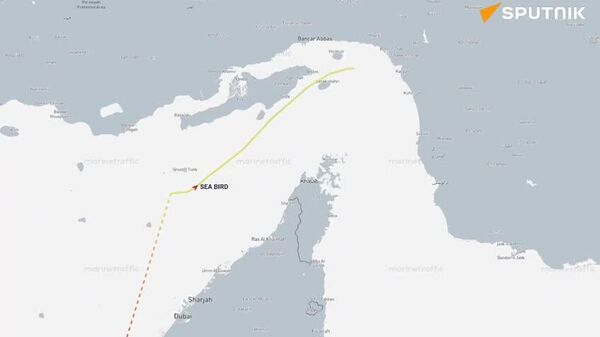 تغییر وضعیت در تنگه هرمز - اسپوتنیک افغانستان  