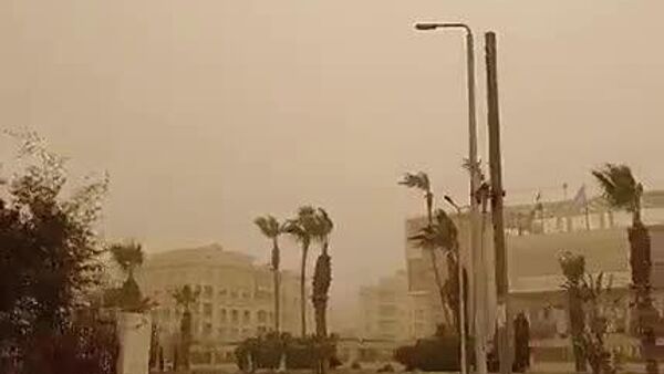 تخلیه دسته جمعی گردشگران از سواحل مصر به دلیل شدیدترین طوفان شن در سال‌های اخیر - اسپوتنیک افغانستان  