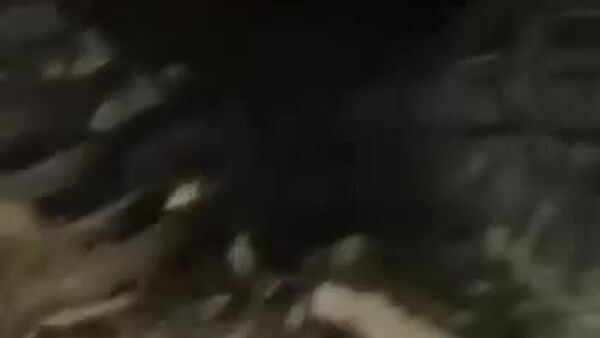 50 تن در پی موشک‌باران ایران به دیمونای اسرائیل زخمی شدند - اسپوتنیک افغانستان  