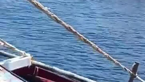 افزایش تنش‌های دریایی: فیلیپین پس از رویداد با کشتی‌های چین، شناورهایی به سوی آبسنگ اسکاربرو فرستاد - اسپوتنیک افغانستان  