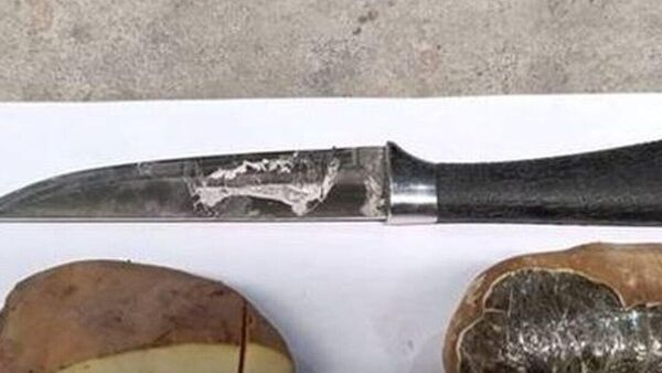 ترانزیت چرس از افغانستان به روسیه در پوشش کچالو در ازبیکستان کشف شد - اسپوتنیک افغانستان  