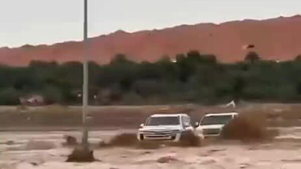 در عمان سرنشینان یک هلیکوپتر واژگون شده نجات داده شد - اسپوتنیک افغانستان  