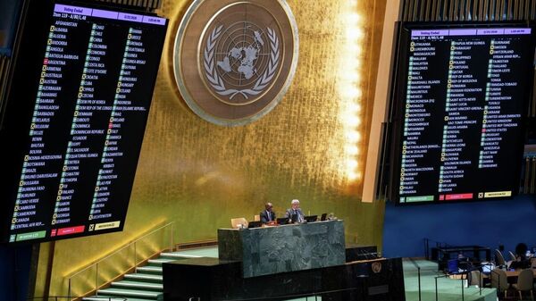 تحلیلگر مالی: خودداری کشورهای اروپایی از رأی به قطعنامه ضدبرده داری سازمان ملل، «خیانت فکری» است - اسپوتنیک افغانستان  