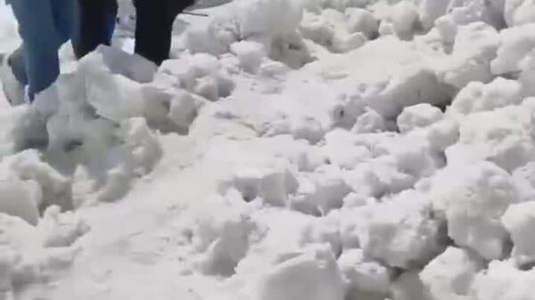 بارش سنگین برف در هند؛ دستکم 7 نفر جان باختند - اسپوتنیک افغانستان  