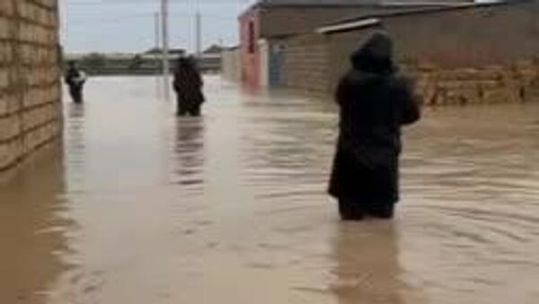 بیرون آوردن سگ‌ها را از مناطق سیل ‌زده - اسپوتنیک افغانستان  