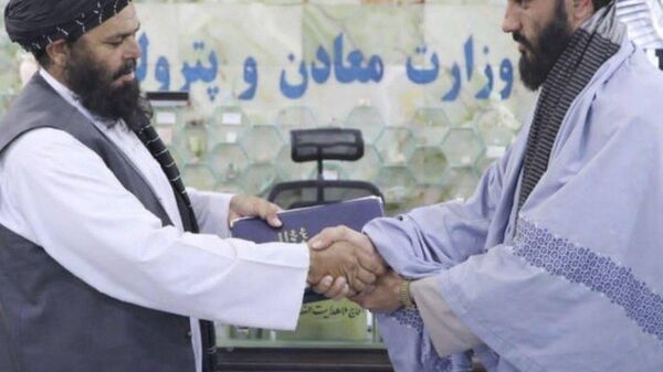 قرارداد استخراج نمک در هرات با سرمایه‌گذاری بیش از 5 میلیون دالر منعقد شد - اسپوتنیک افغانستان  