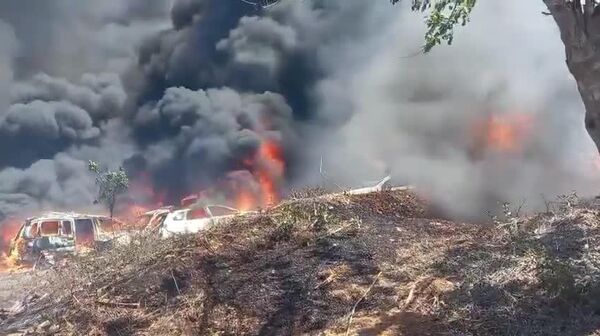 در ایالت گوررو مکسیکو، یک آتش سوزی جنگل به یک پارکینگ گسترش یافت - اسپوتنیک افغانستان  