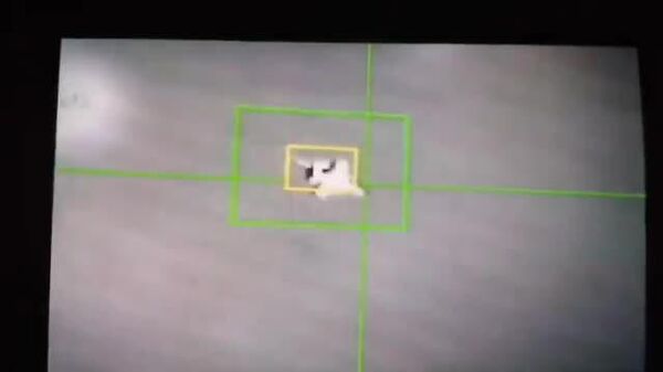 یک جنگنده پیشرفته آمریکا در قشم مورد اصابت قرار گرفت و سقوط کرد - اسپوتنیک افغانستان  