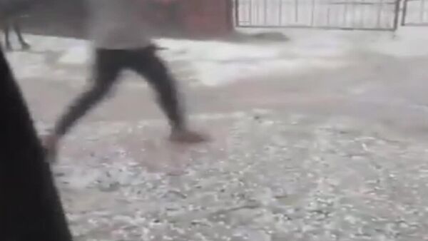 بارش ژاله شدید بخش‌هایی از راجستان هند را درنوردید - اسپوتنیک افغانستان  