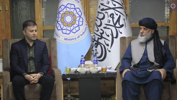 بیش از 20 شرکت بزرگ دارویی ازبکستان علاقه‌مند سرمایه‌گذاری در افغانستان هستند - اسپوتنیک افغانستان  