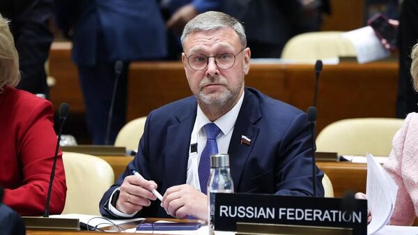 سناتور روس: قیمت فعلی گاز روسیه انگیزه‌ای قوی برای توسعه بسیاری از بخش‌های اقتصاد ارمنستان و عاملی مهم در ثبات اجتماعی و سیاسی در این کشور است - اسپوتنیک افغانستان  