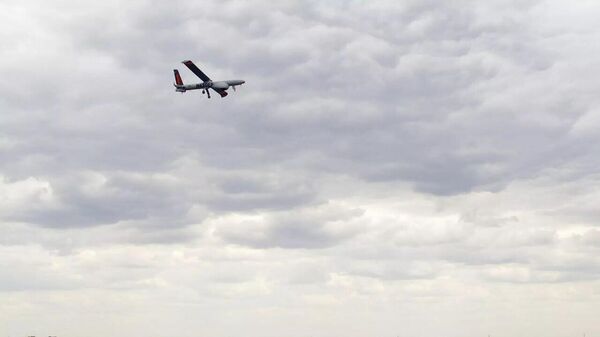 سپاه پاسداران ایران: یک فروند پهپاد هرمس 900 در آسمان استان فارس رهگیری و منهدم شد - اسپوتنیک افغانستان  