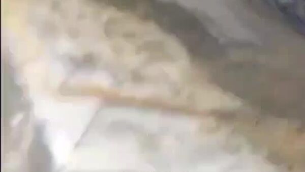 تلاش امدادگران برای نجات کودکی از زیر آوار یک ساختمان پس از حمله هوایی اسرائیل به بیروت - اسپوتنیک افغانستان  