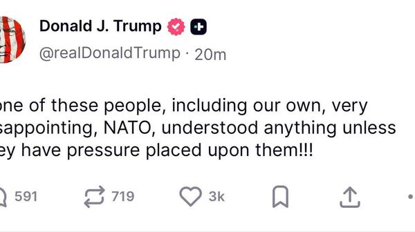 ترامپ: ناتو بدون فشار بر این ائتلاف هیچ چیز را نمی‌فهمد - اسپوتنیک افغانستان  