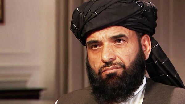 استقبال شاهین از آتش‌بس در خاورمیانه؛ تأکید بر حل مسالمت‌آمیز ناهمگونی ها - اسپوتنیک افغانستان  