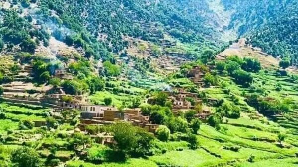 نیروهای امارت اسلامی و پاکستان بار دیگر در کنر درگیر شدند - اسپوتنیک افغانستان  