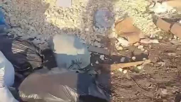 معجزه در زباله‌دان قزاقستان: جوجه‌هایی که از تخم‌های دورریخته سر از خاک بیرون آوردند - اسپوتنیک افغانستان  