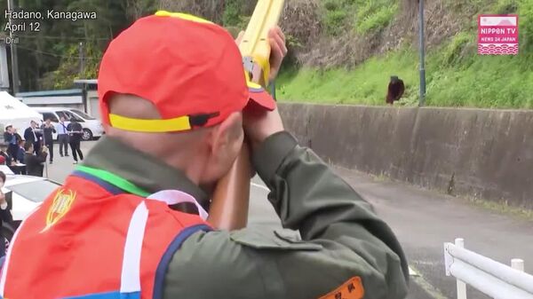 برگزاری رزمایش خرس در جاپان - اسپوتنیک افغانستان  