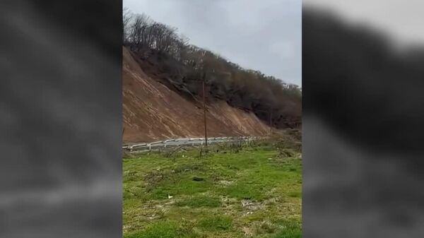 لغزیدن درختی از شیب مانند یک موج‌سوار در داغستان روسیه - اسپوتنیک افغانستان  