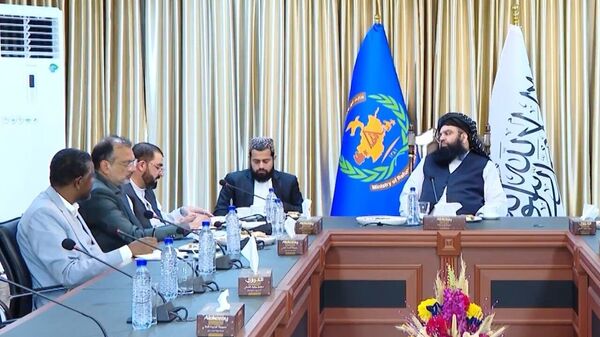 امارت اسلامی: وضعیت مهاجران افغانستان در پاکستان نگران‌کننده است - اسپوتنیک افغانستان  